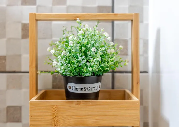 Appartement Center Loreto Ponta Delgada